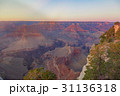 Amazing panorama view of Grand Canyon Hopi Point 31136318