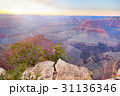 Amazing panorama view of Grand Canyon Hopi Point 31136346
