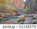 Narrows in Zion National Park, Utah, United States 31136379