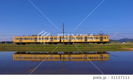 みずかがみ 31137111