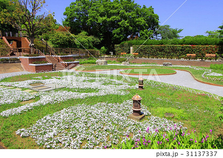 多摩川台公園 多摩川台公園 31137337