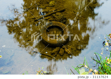 old tyre in the water, ecology concept 31137624