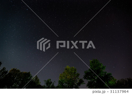 Blue dark night sky with many stars Blue dark night sky with many stars 31137964