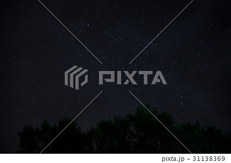 beautiful night sky, the Milky Way and the trees beautiful night sky, the Milky Way and the trees 31138369