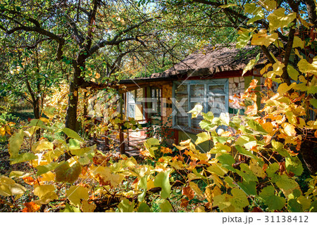 Wooden house for rest with a sauna 31138412