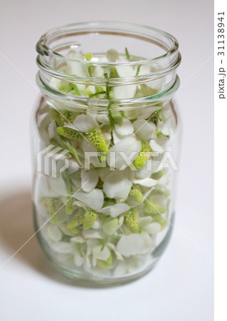どくだみの花のチンキ 31138941