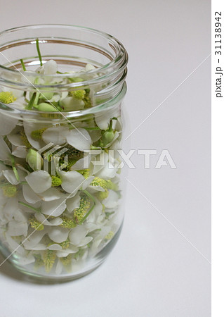 どくだみの花のチンキ どくだみの花のチンキ 31138942