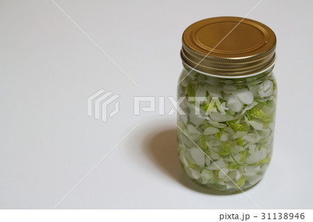 どくだみの花のチンキ どくだみの花のチンキ 31138946