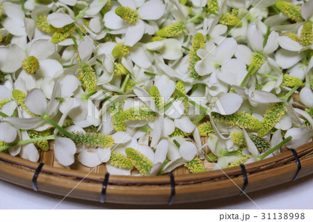 どくだみの花 31138998