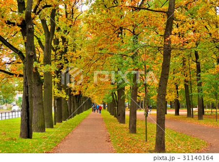 Park at autumn. Park at autumn. 31140164