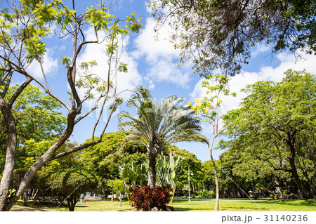 カピオラニ公園 31140236