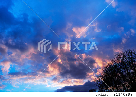 Winter snow covered forest on the background 31140398