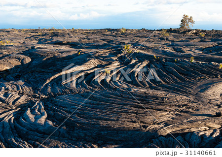 ハワイ島の火山と溶岩の風景 31140661