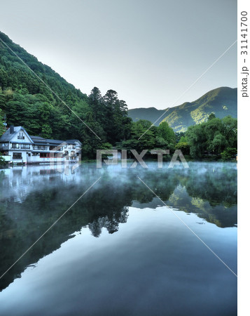 金鱗湖（朝霧バージョン） 31141700