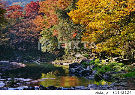 秋の嵐山渓谷 秋の嵐山渓谷 31142124