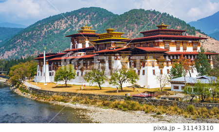 The Punakha Dzong Monastery in Bhutan. 31143310