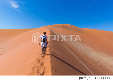 Tourist walking on the scenic dunes of Sossusvlei. Tourist walking on the scenic dunes of Sossusvlei. 31143445