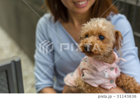 愛犬を抱く女性 31143636