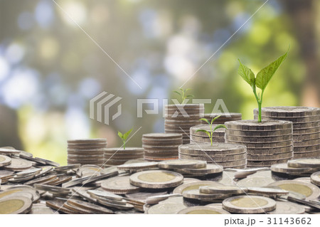 Trees growing on pile of coins money 31143662