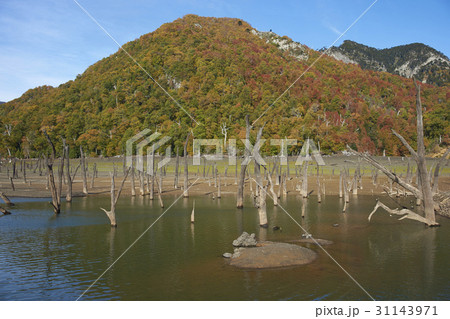 Autumn in Conguillio National Park 31143971