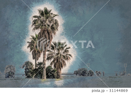 Palm trees along the coast in Palermo at beautiful 31144869