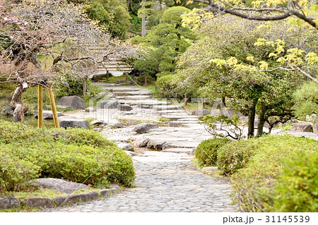 日本の庭園 飛び石の写真素材