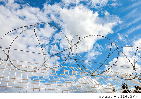 Barbed wire against the blue sky background  31145977