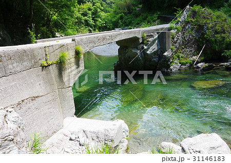 貞光川の潜水橋 貞光川の潜水橋 31146183