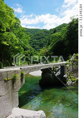 貞光川の潜水橋 貞光川の潜水橋 31146184