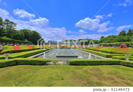 神代植物公園の噴水 神代植物公園の噴水 31146472