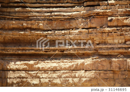 Pattern of rocks of desert 31146695