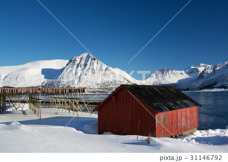 Barstrand, Lofoten, Norway 31146792