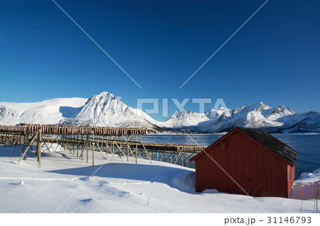 Barstrand, Lofoten, Norway 31146793
