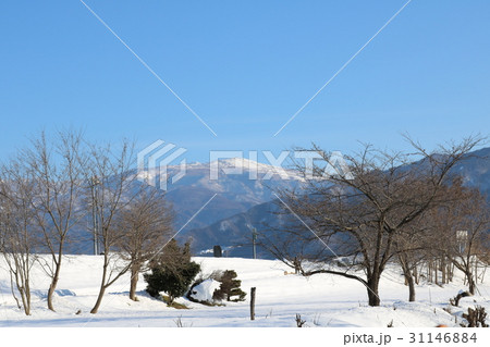 田舎の雪景色 田舎の雪景色 31146884
