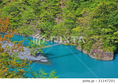 晴天下の寸又峡夢の吊り橋 31147201