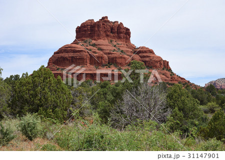 セドナ　ベル・ロック 31147901