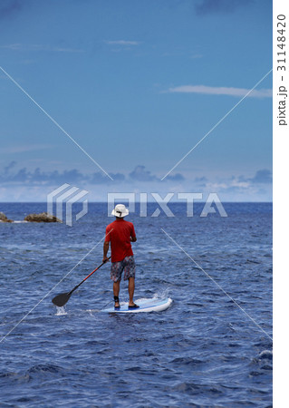 小笠原の海でサップをする男性 小笠原の海でサップをする男性 31148420