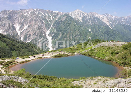 初夏の信州白馬の八方池と背景に広がる北アルプスの天狗尾根から白馬三山の絶景 初夏の信州白馬の八方池と背景に広がる北アルプスの天狗尾根から白馬三山の絶景 31148586