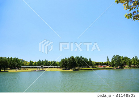 新緑の公園 新緑の公園 31148805