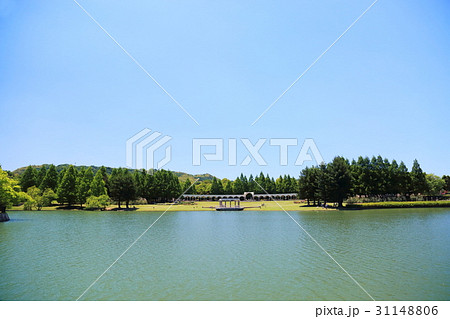 新緑の公園 新緑の公園 31148806