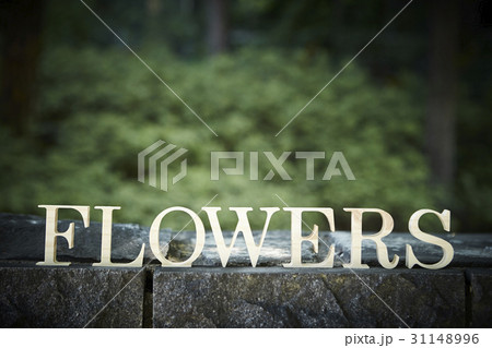 FLOWERSの文字 31148996