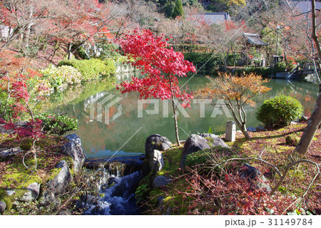 永観堂(京都)の紅葉 永観堂(京都)の紅葉 31149784