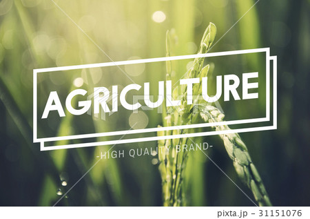 Alternative Farming Sustainable Nature Concept Alternative Farming Sustainable Nature Concept 31151076