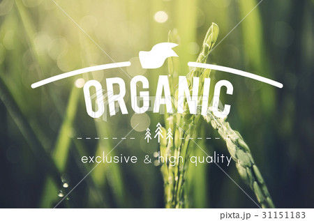 Alternative Farming Sustainable Nature Concept 31151183