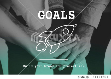31151601