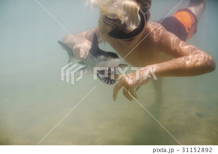 Boy (8-9) playing with toy shark in sea 31152892