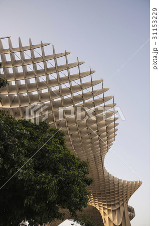 Spain, Seville, Part of Metropol Parasol and trees 31153229