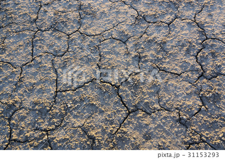 Overhead view of cracked desert Overhead view of cracked desert 31153293