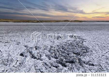 Ukraine, Dnepropetrovsk Region, Novomoskovskiy District, Lake Soleniy Lyman, Desert at sunset Ukraine, Dnepropetrovsk Region, Novomoskovskiy District, Lake Soleniy Lyman, Desert at sunset 31153323