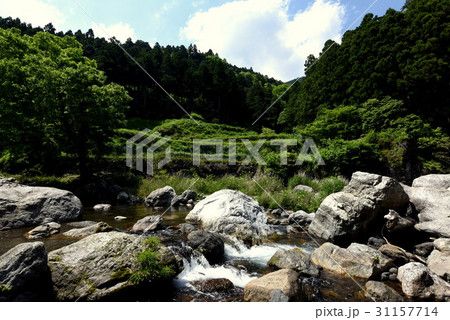 勝浦川殿川内渓谷の写真素材